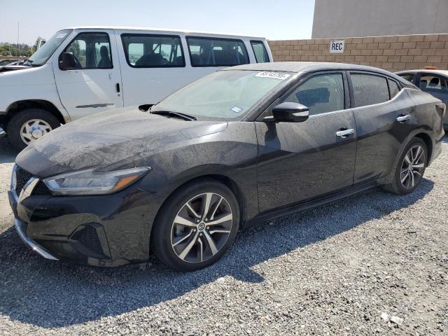  NISSAN MAXIMA 2019 Black