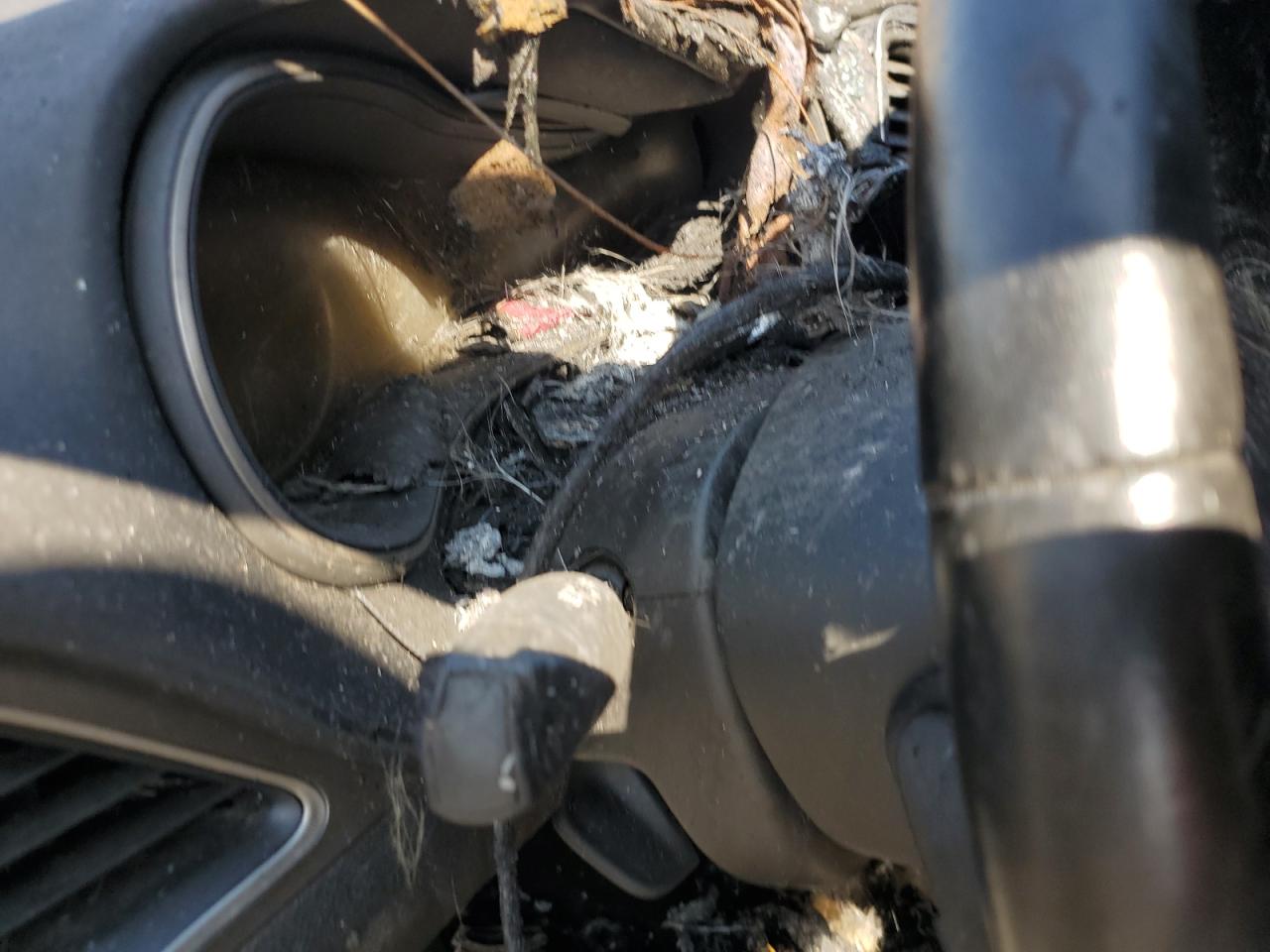 2020 Jeep Cherokee Latitude VIN: 1C4PJMCB0LD584719 Lot: 66609935