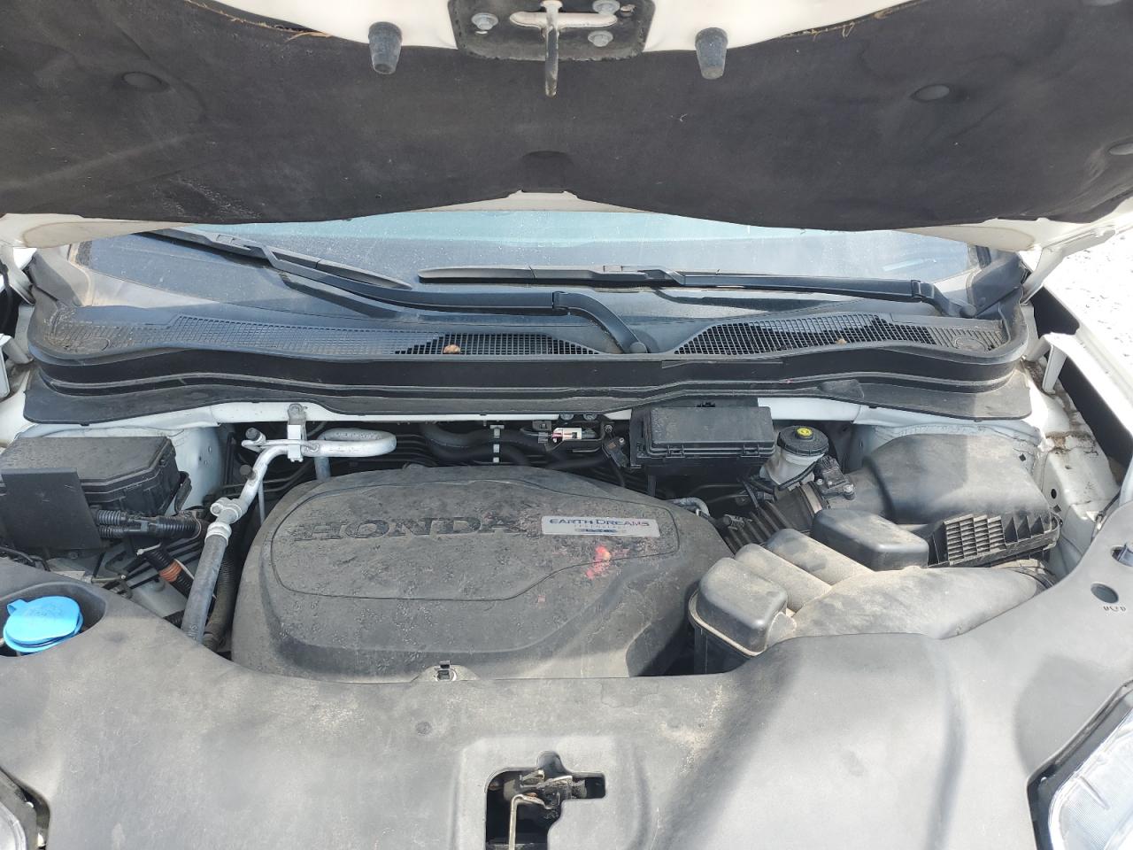 2019 Honda Pilot Touring VIN: 5FNYF6H96KB067035 Lot: 63933195