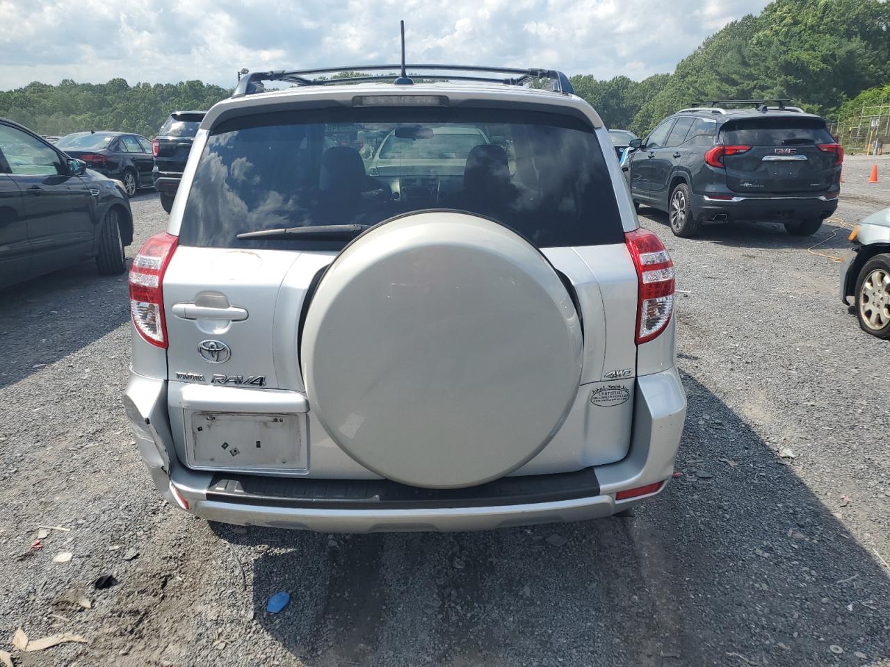 2009 Toyota Rav4 VIN: JTMBF33V995010378 Lot: 65230945