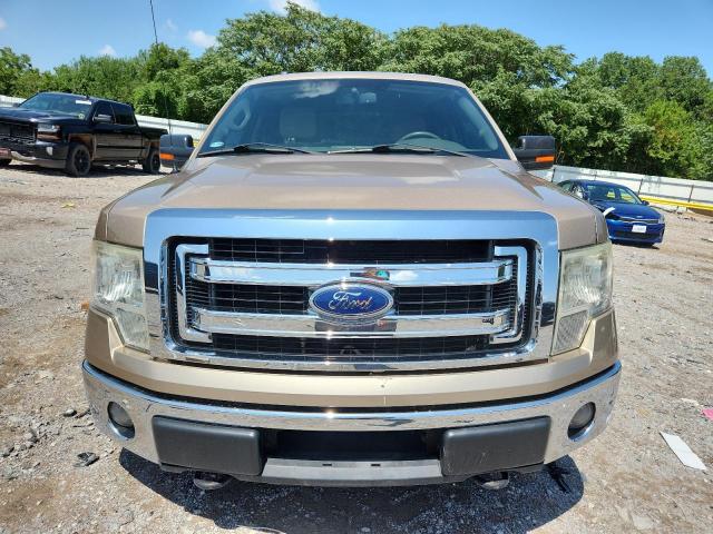  FORD F-150 2013 tan