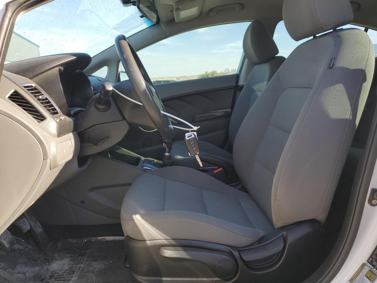 2018 Kia Forte Lx VIN: 3KPFK4A74JE219883 Lot: 66542995