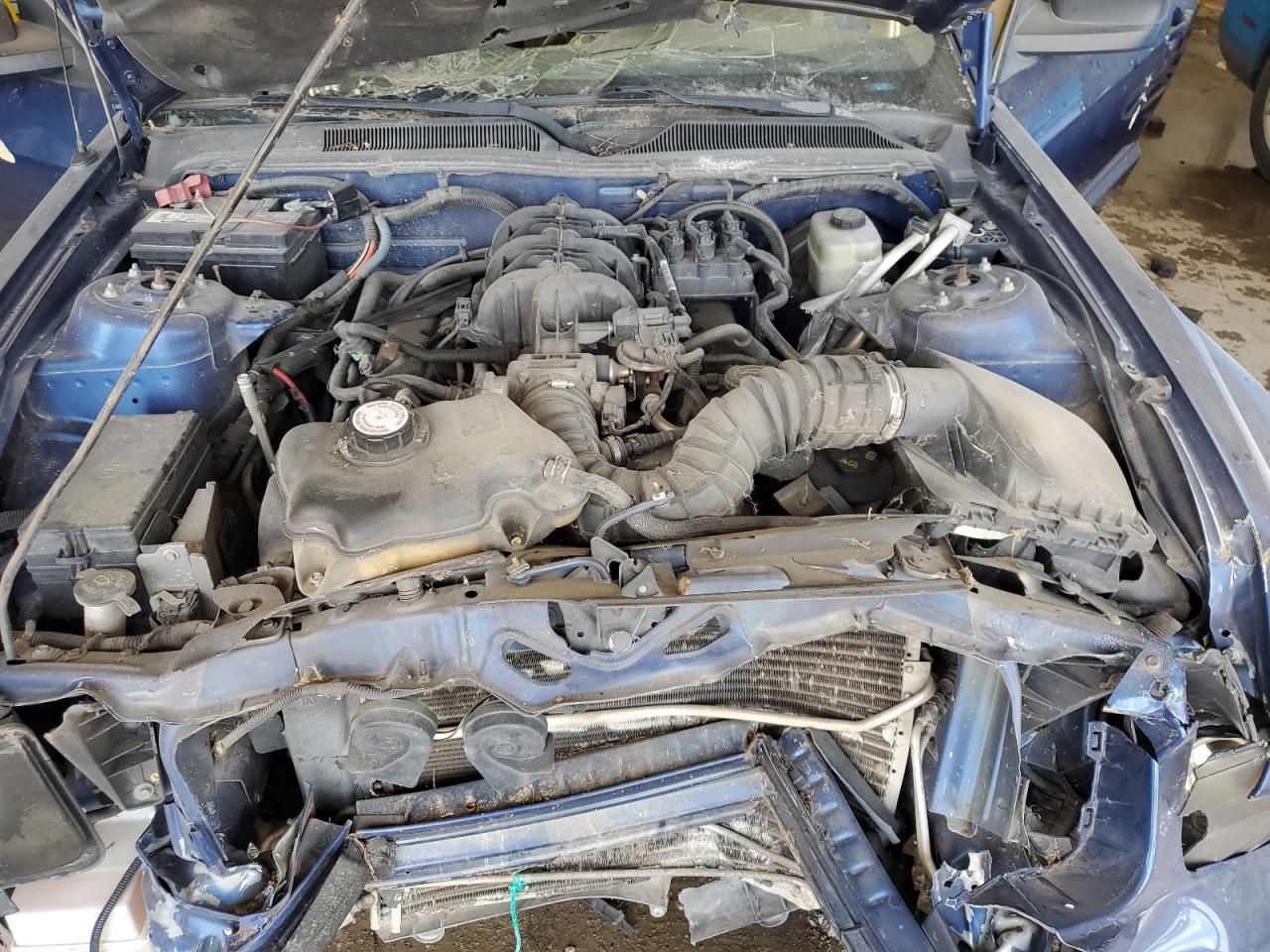 2006 Ford Mustang VIN: 1ZVFT80N665132619 Lot: 65228095