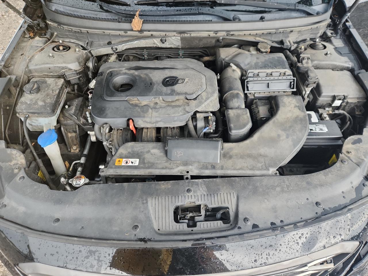 2016 Hyundai Sonata Sport VIN: 5NPE34AF1GH344165 Lot: 65622445