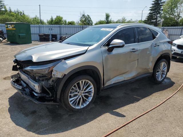 2024 LEXUS NX 350H BASE   for sale at Copart ON - TORONTO