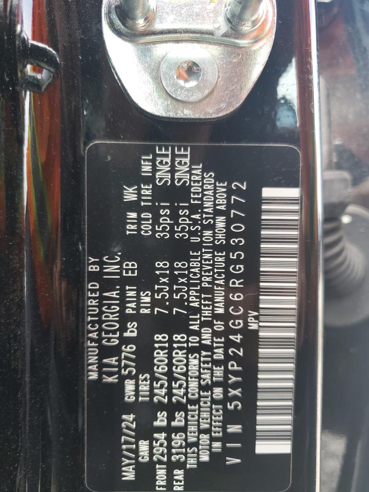 2024 Kia Telluride Lx VIN: 5XYP24GC6RG530772 Lot: 65376835