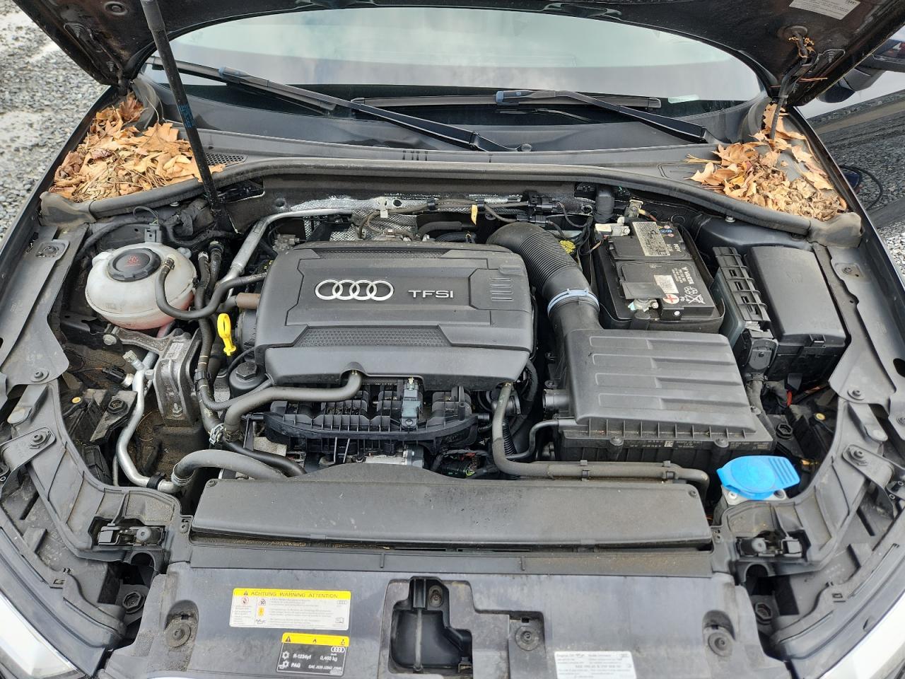 2019 Audi A3 Premium VIN: WAU7ELFF3K1030679 Lot: 62508685