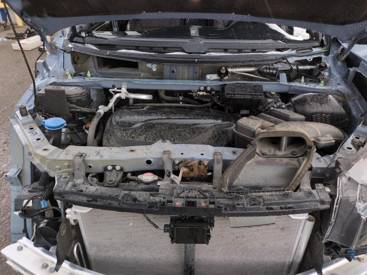 2024 Honda Passport Trail Sport VIN: 5FNYF8H68RB009844 Lot: 66170305