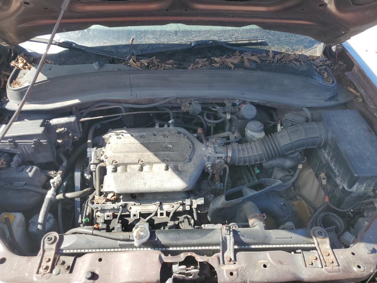 2hjyk16228h529013 2HJYK16228H529013 2008 Honda Ridgeline Rt