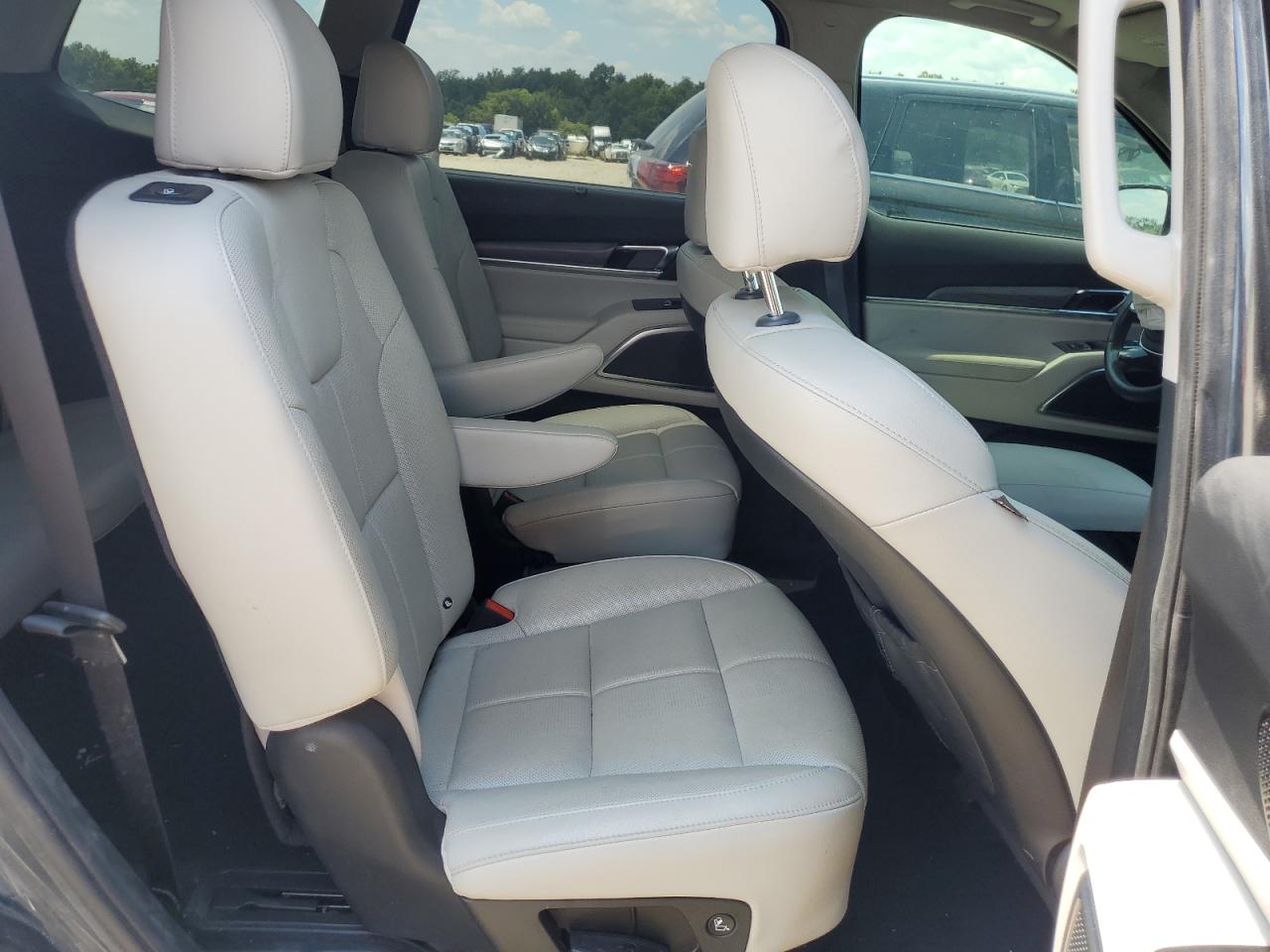 2020 Kia Telluride Sx VIN: 5XYP5DHC7LG079977 Lot: 63202695