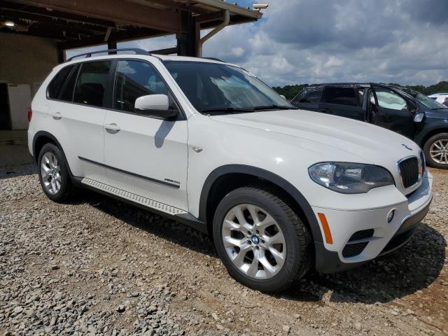 Parquets BMW X5 2013 White