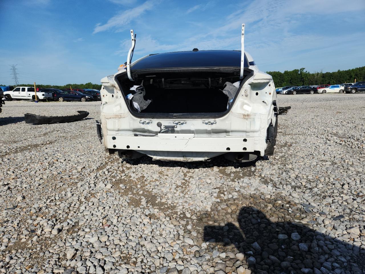 2020 Nissan Maxima Sl VIN: 1N4AA6DV0LC377950 Lot: 65116295
