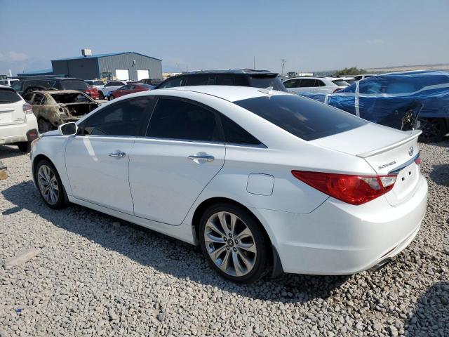  HYUNDAI SONATA 2013 Biały