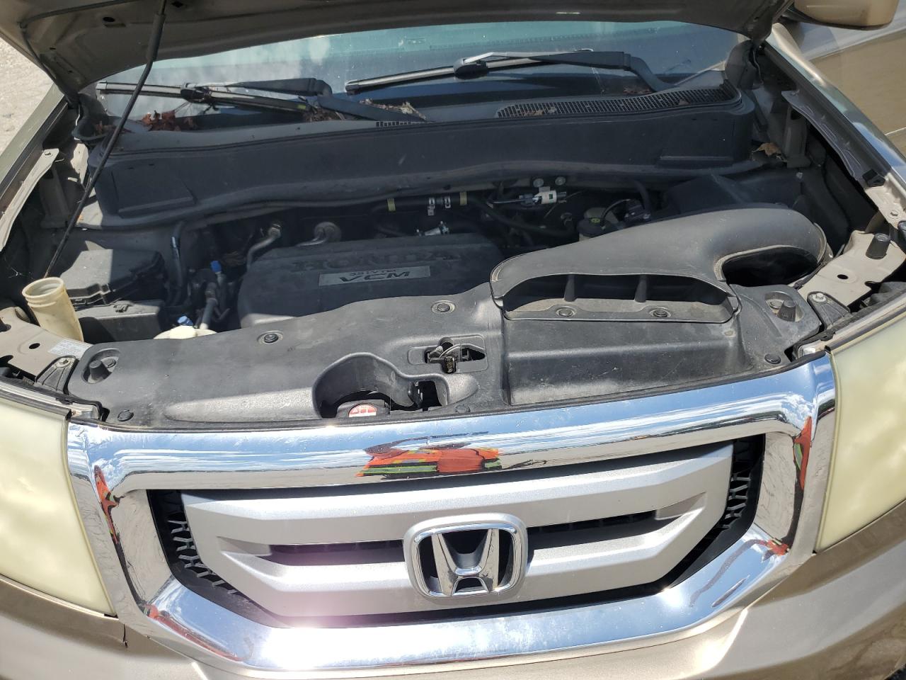2009 Honda Pilot Exl VIN: 5FNYF38649B006376 Lot: 65509745