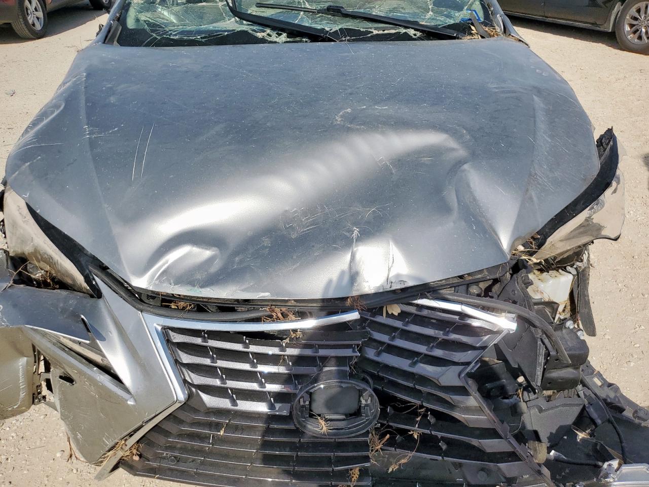 2019 Lexus Nx 300H VIN: JTJBJRBZ2K2106606 Lot: 65246705