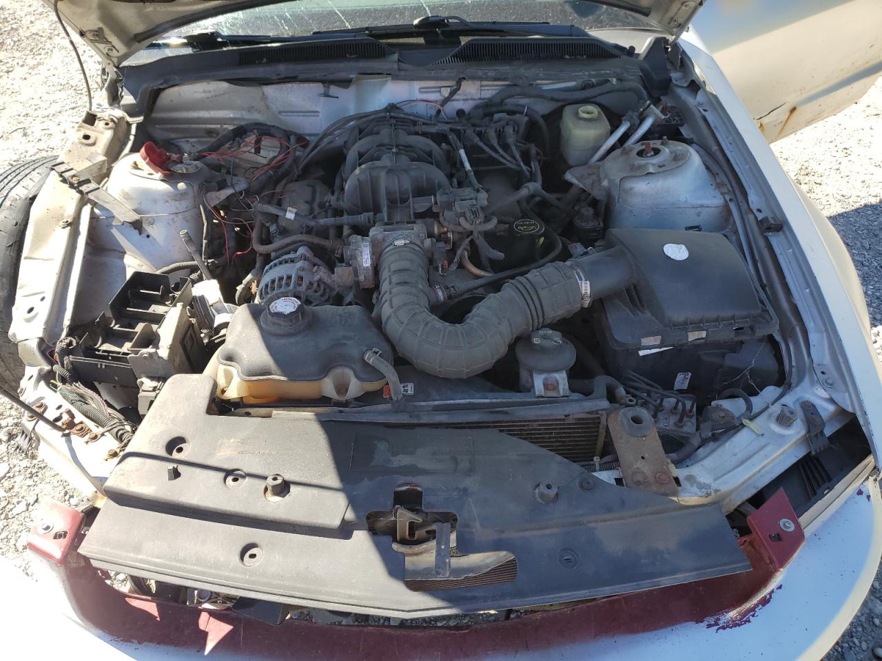 2006 Ford Mustang VIN: 1ZVFT80N265167772 Lot: 64676045