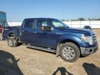 2014 FORD F150 SUPERCREW   for sale at Copart AB - EDMONTON