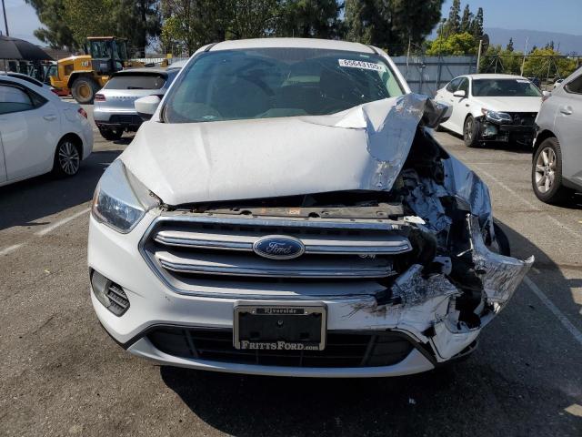  FORD ESCAPE 2019 Biały