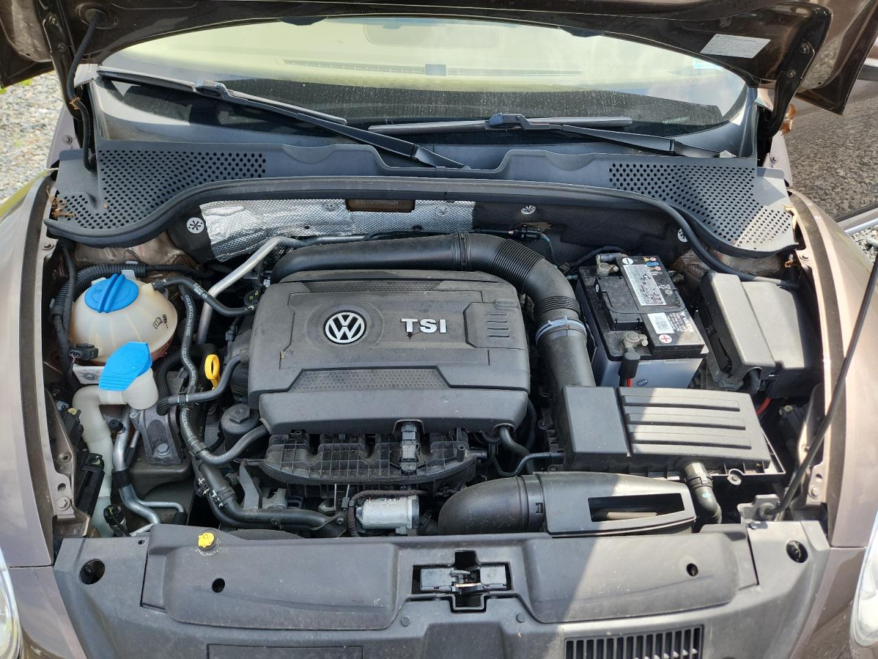 2015 Volkswagen Beetle 1.8T VIN: 3VW517AT0FM810428 Lot: 64264465