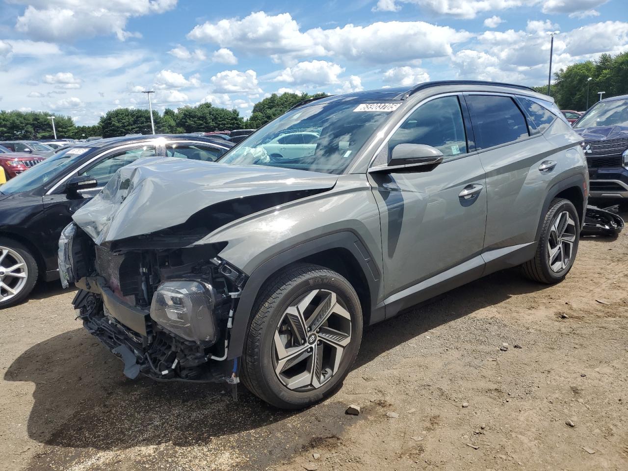 2024 Hyundai Tucson Limited VIN: 5NMJECDE2RH361286 Lot: 65903705