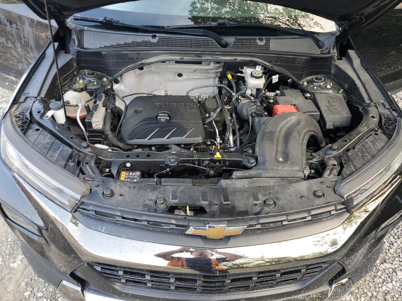 2021 Chevrolet Trailblazer Activ VIN: KL79MVSL5MB094416 Lot: 66449005