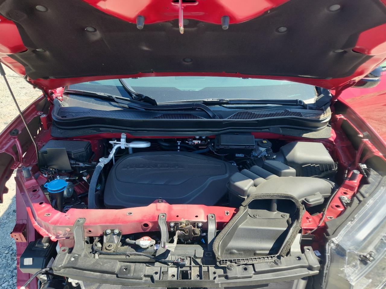 2024 Honda Passport Black Edition VIN: 5FNYF8H8XRB023620 Lot: 66481595