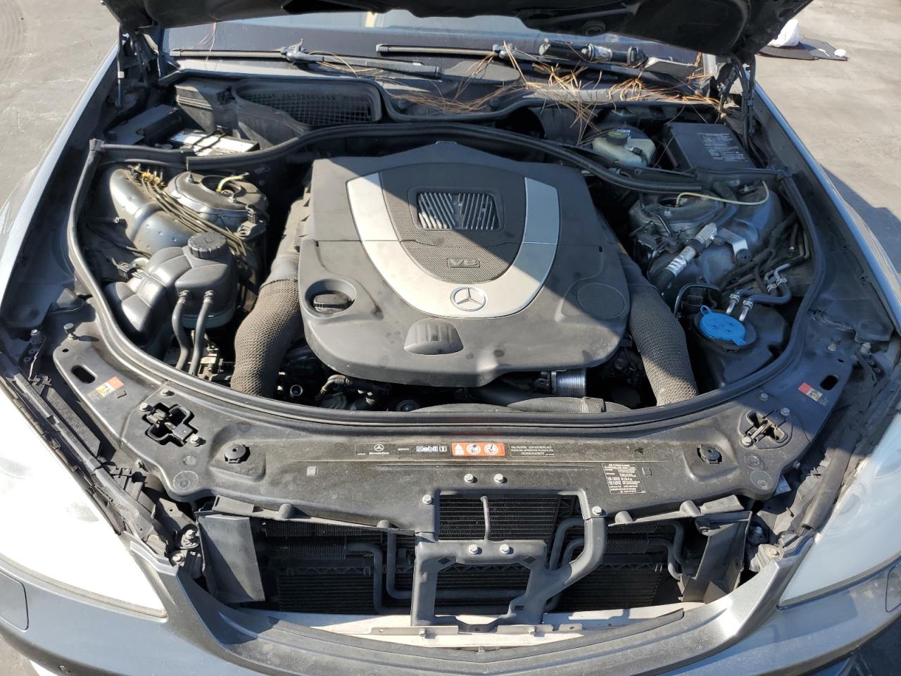 2007 Mercedes-Benz S 550 VIN: WDDNG71X07A029689 Lot: 64318525