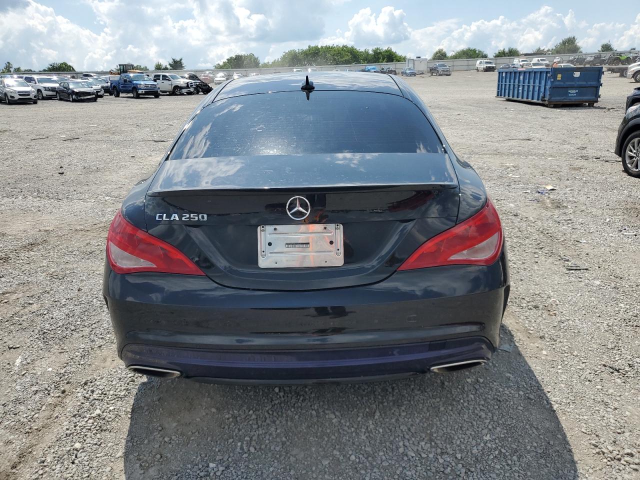 2019 Mercedes-Benz Cla 250 VIN: WDDSJ4EB2KN740507 Lot: 64126185