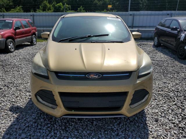  FORD ESCAPE 2014 Золотой