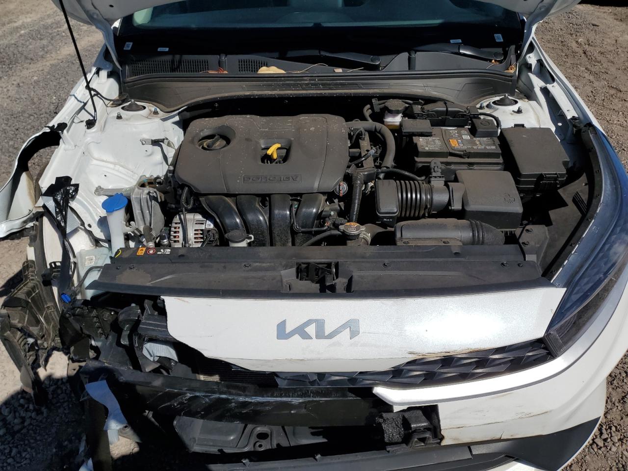 2024 Kia Forte Lx VIN: 3KPF24AD9RE698030 Lot: 64850175