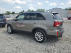 2015 KIA SORENTO EX   à vendre chez Copart OH - COLUMBUS