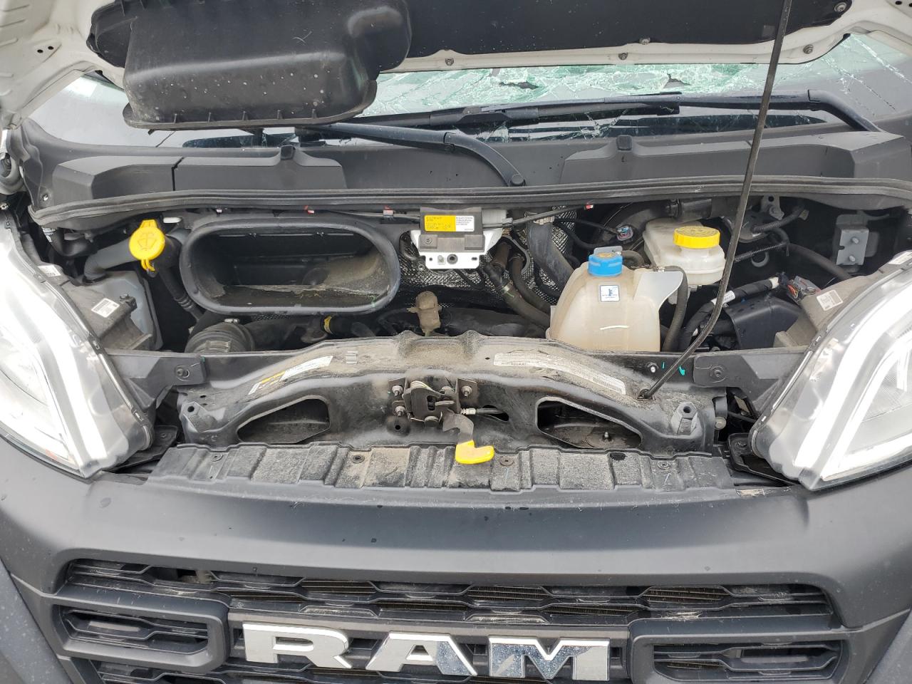 2023 Ram Promaster 2500 2500 High VIN: 3C6LRVDG8PE552877 Lot: 64285305