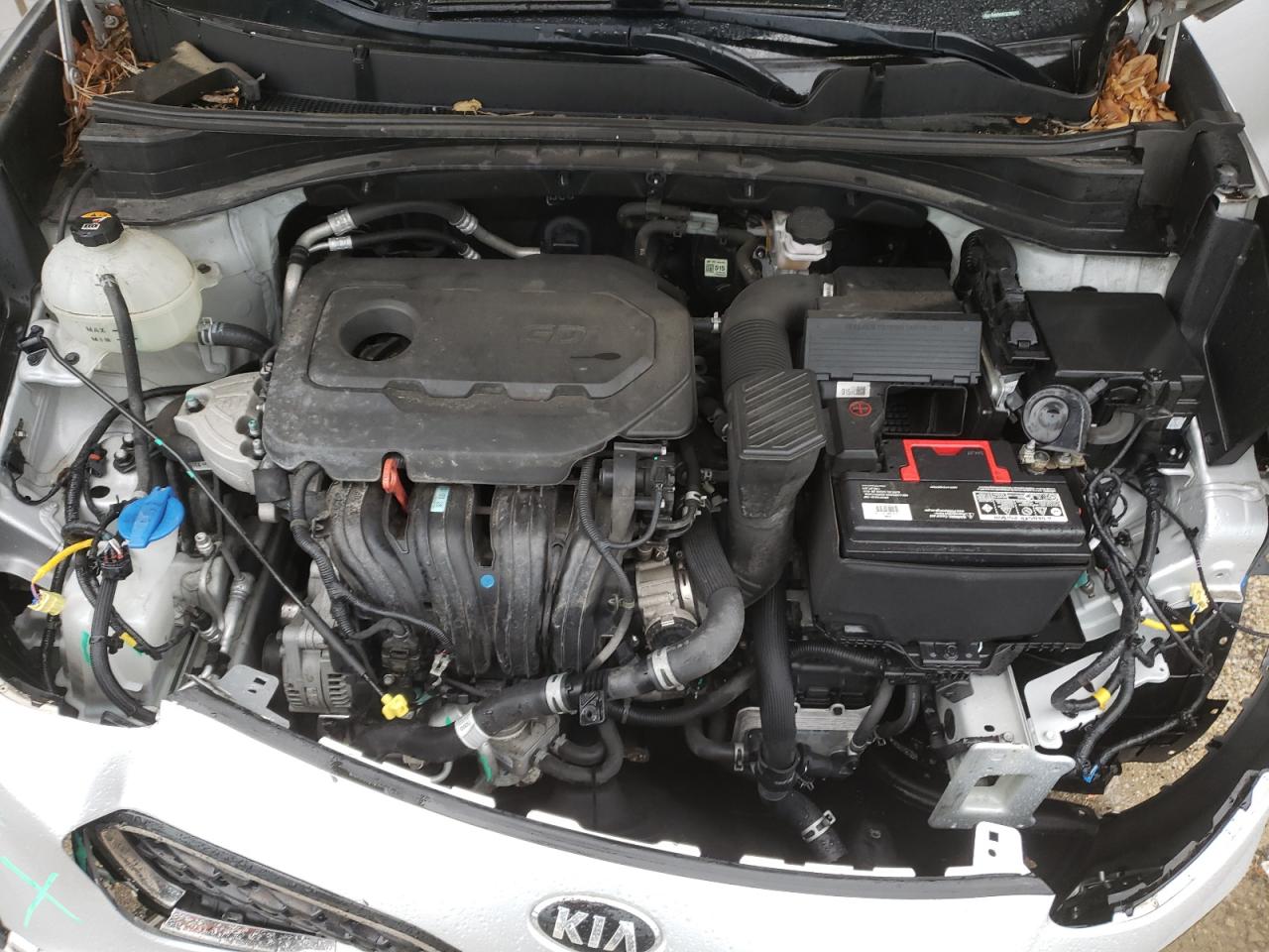 2020 Kia Sportage Lx VIN: KNDPM3AC3L7808772 Lot: 64392825