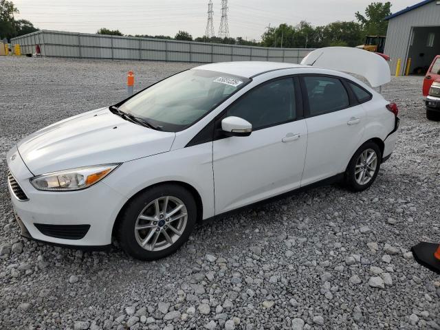  FORD FOCUS 2017 Белы