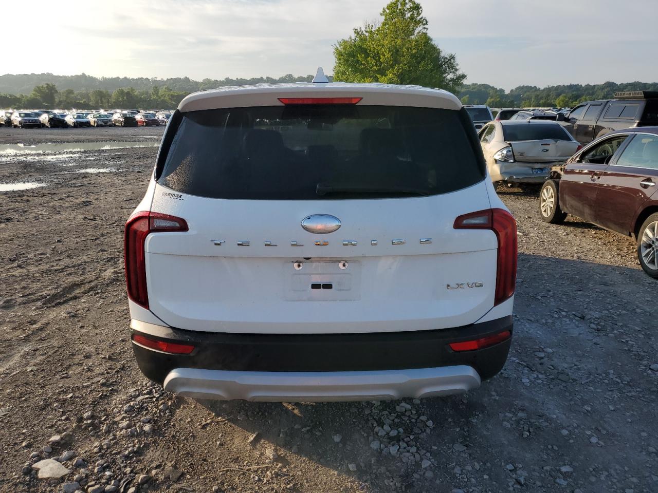 2020 Kia Telluride Lx VIN: 5XYP24HC5LG015543 Lot: 83820845