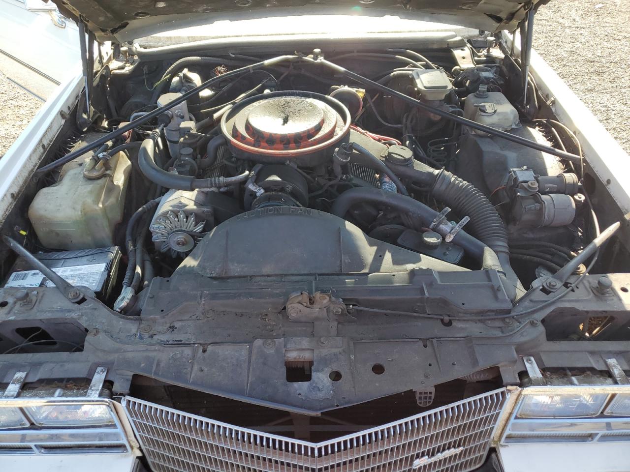 1985 Cadillac Eldorado VIN: 1G6EL5780FE669454 Lot: 65182565