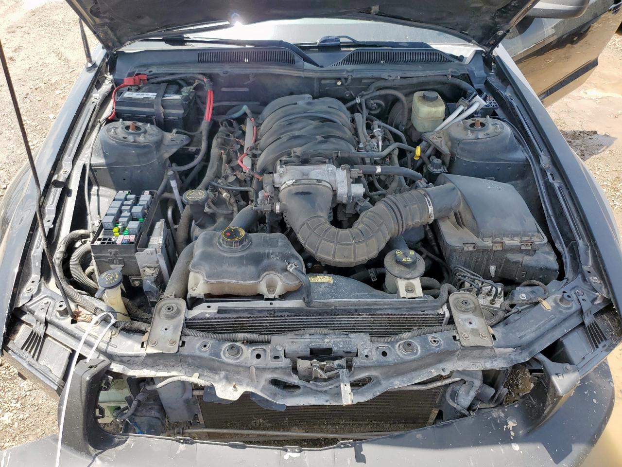 2006 Ford Mustang Gt VIN: 1ZVFT82H465167957 Lot: 64004365