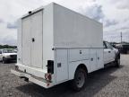 2019 FORD F550 SUPER DUTY   for sale at Copart FL - TAMPA SOUTH