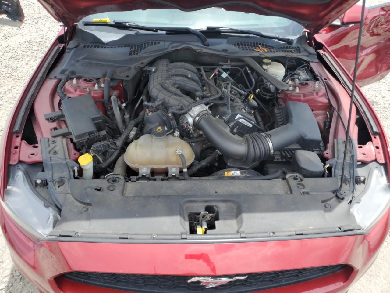2015 Ford Mustang VIN: 1FATP8EM9F5335438 Lot: 64792755