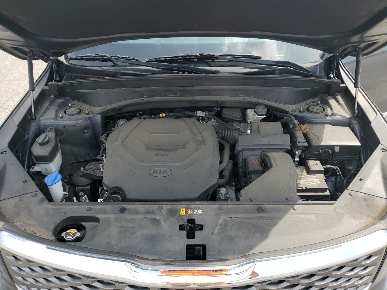 2021 Kia Telluride Lx VIN: 5XYP24HC3MG117540 Lot: 64902275