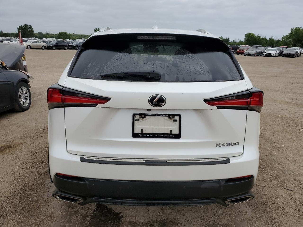 2020 Lexus Nx 300 VIN: JTJGARDZ1L5005723 Lot: 63196325