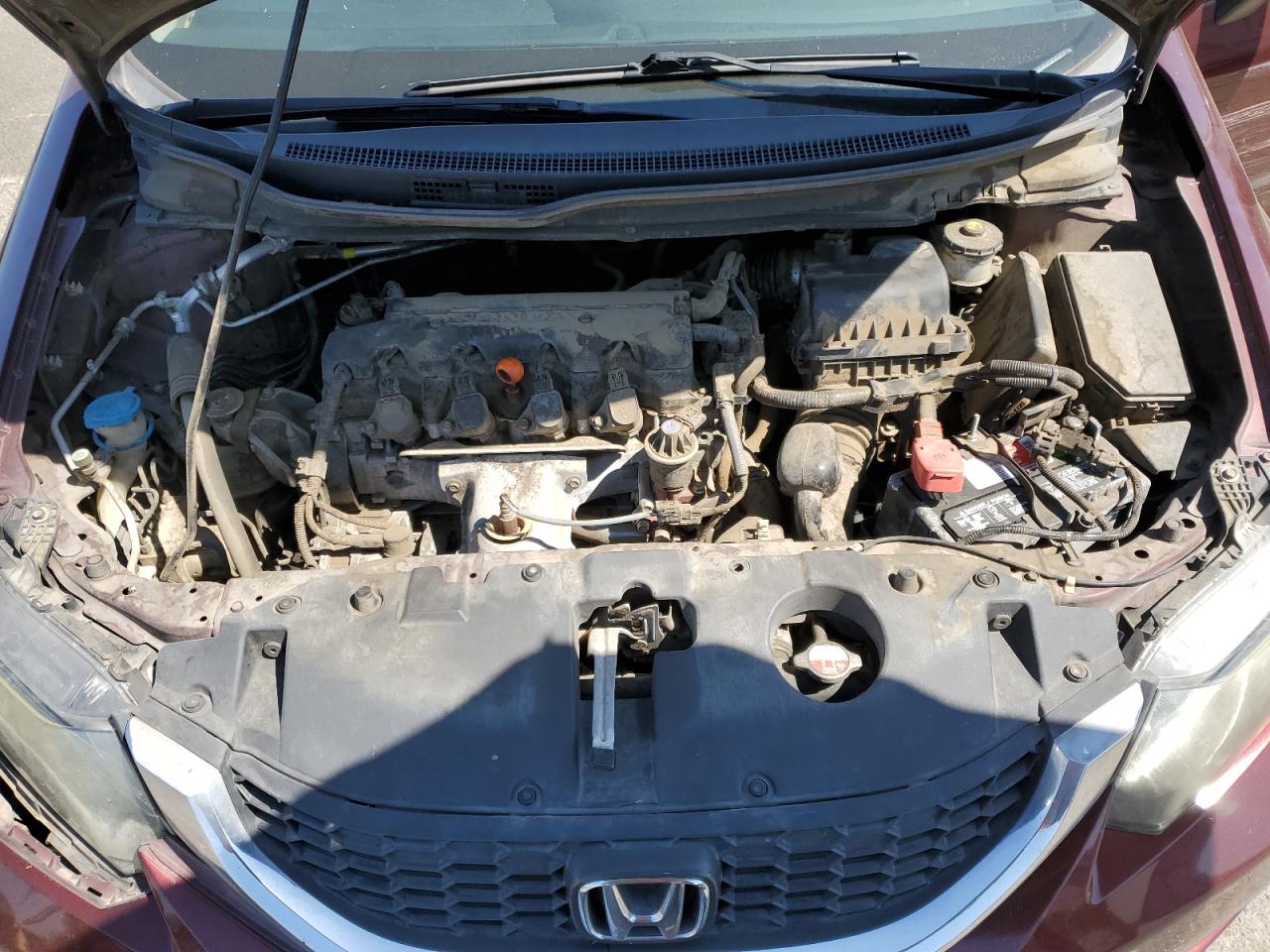 2014 Honda Civic Lx VIN: 19XFB2F55EE238525 Lot: 65072635