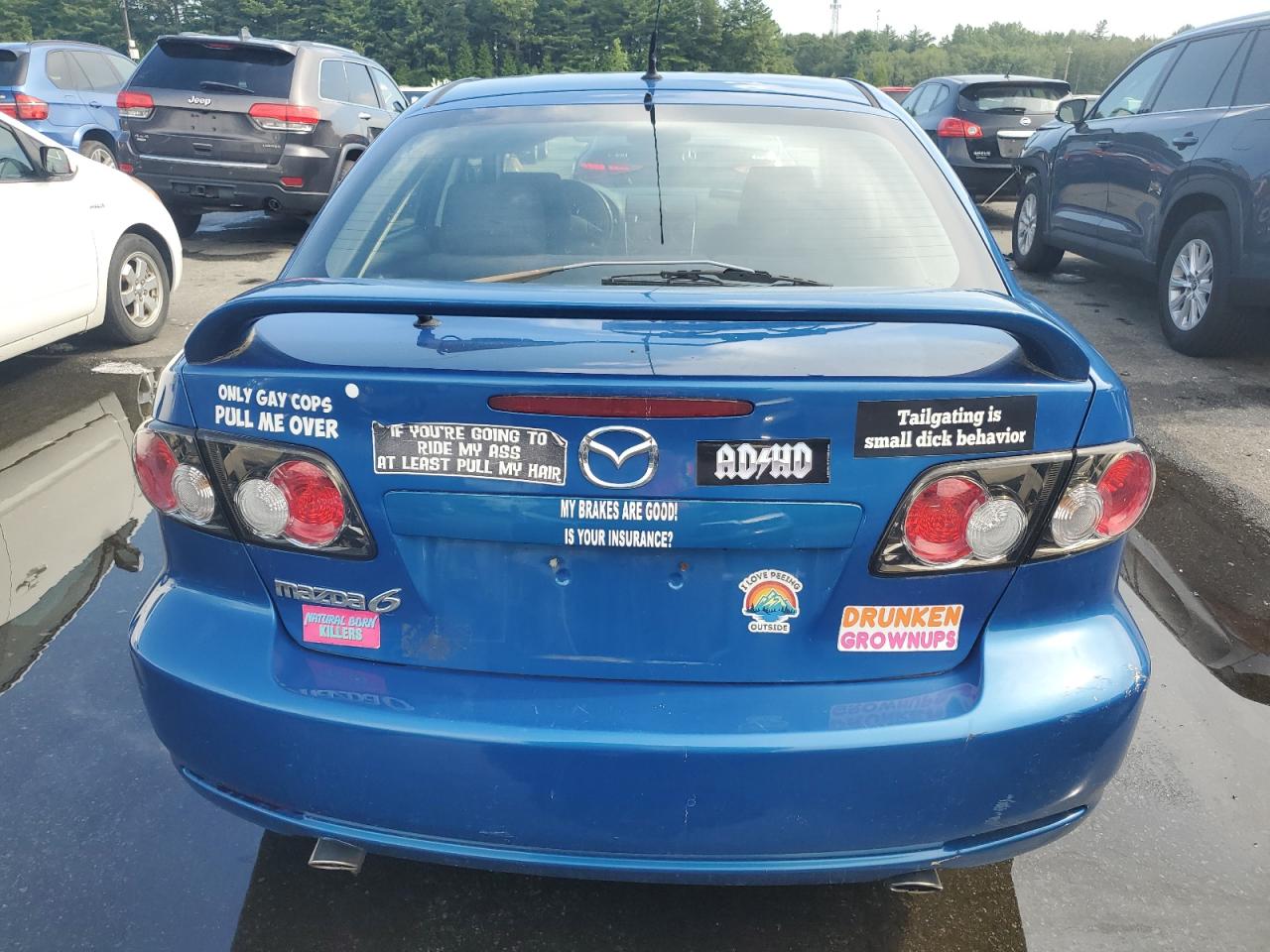 2006 Mazda 6 I VIN: 1YVHP84C665M49318 Lot: 63776955
