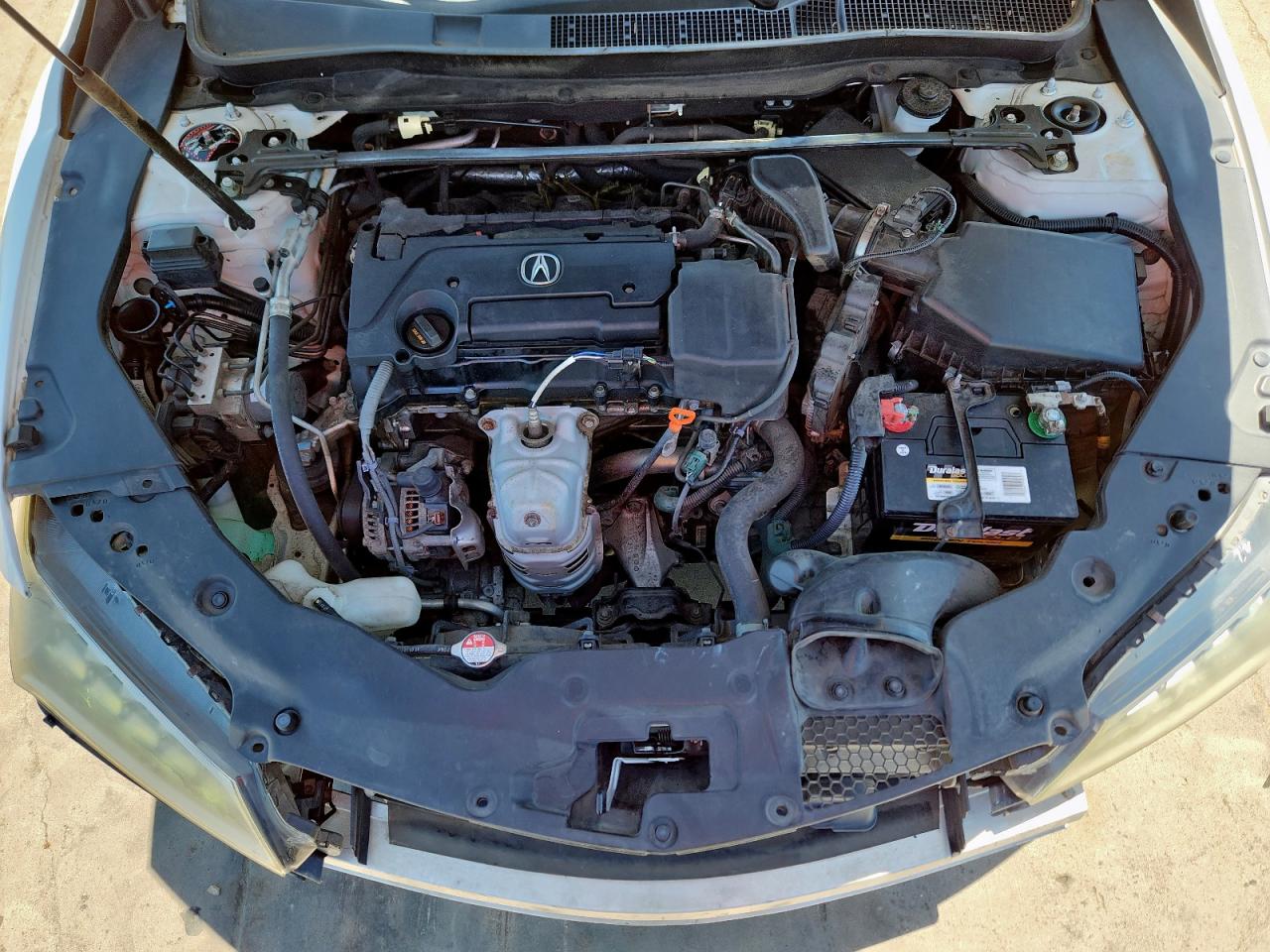 19uub1f5xfa014559 19UUB1F5XFA014559 2015 Acura Tlx Tech