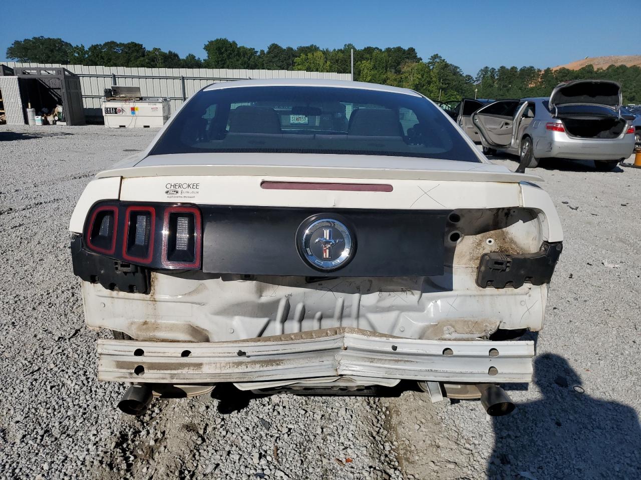 2013 Ford Mustang VIN: 1ZVBP8AM9D5280981 Lot: 64562585