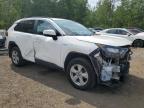 2019 TOYOTA RAV4 LE   à vendre chez Copart ON - COOKSTOWN