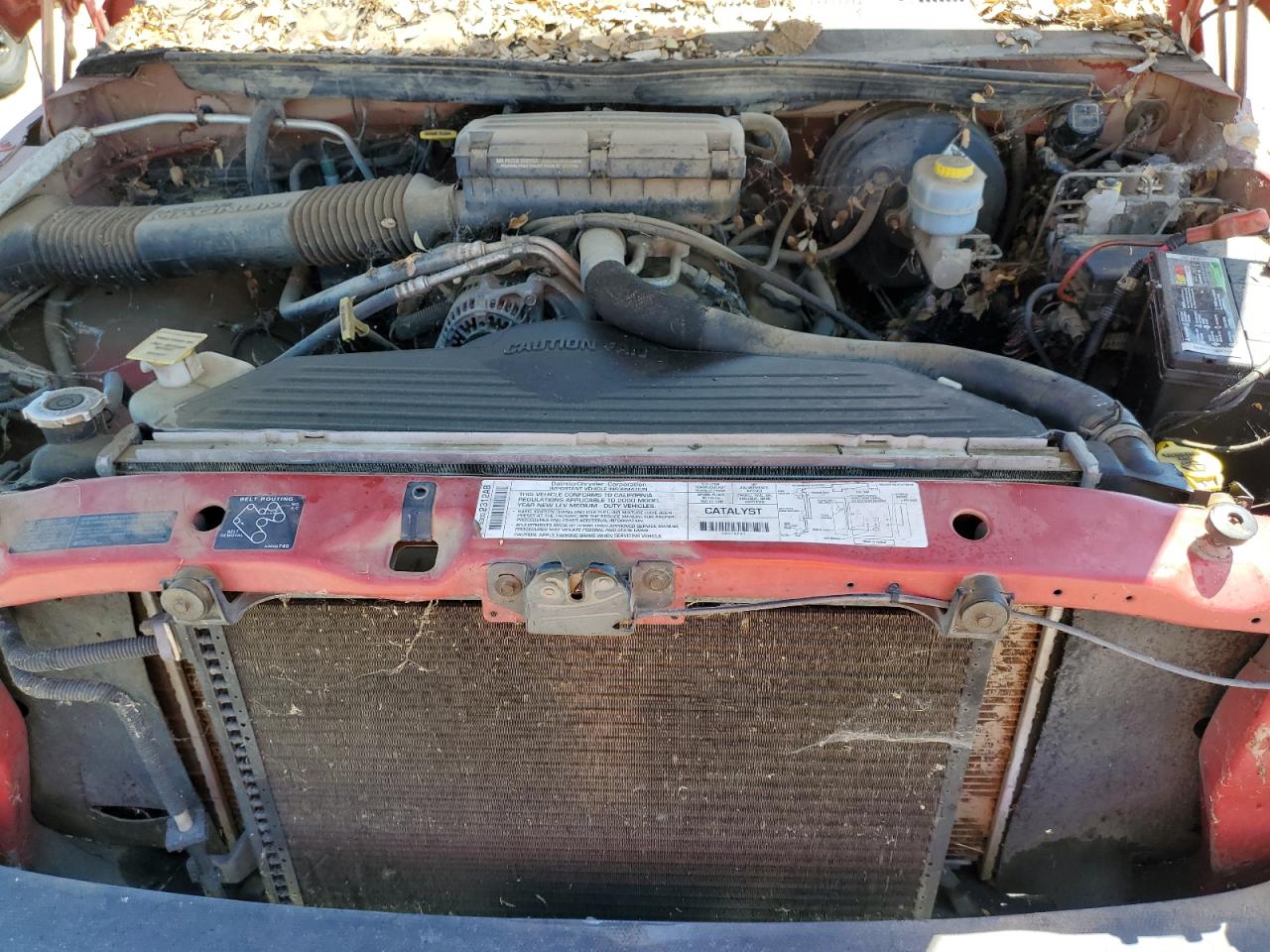 2000 Dodge Ram 1500 VIN: 1B7HC13Z0YJ110286 Lot: 65782315