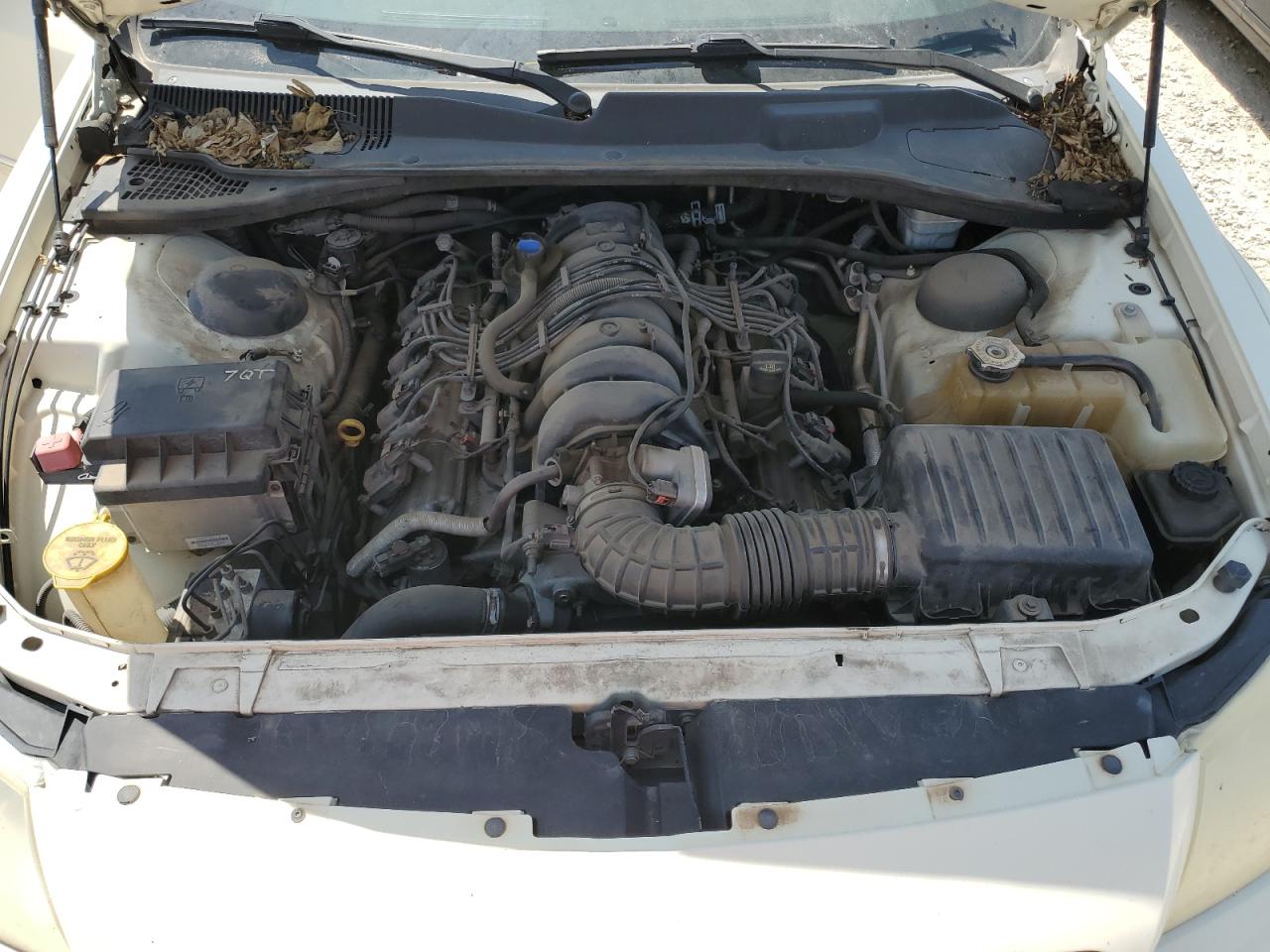 2005 Dodge Magnum R/T VIN: 2D4GV58225H116745 Lot: 65678105