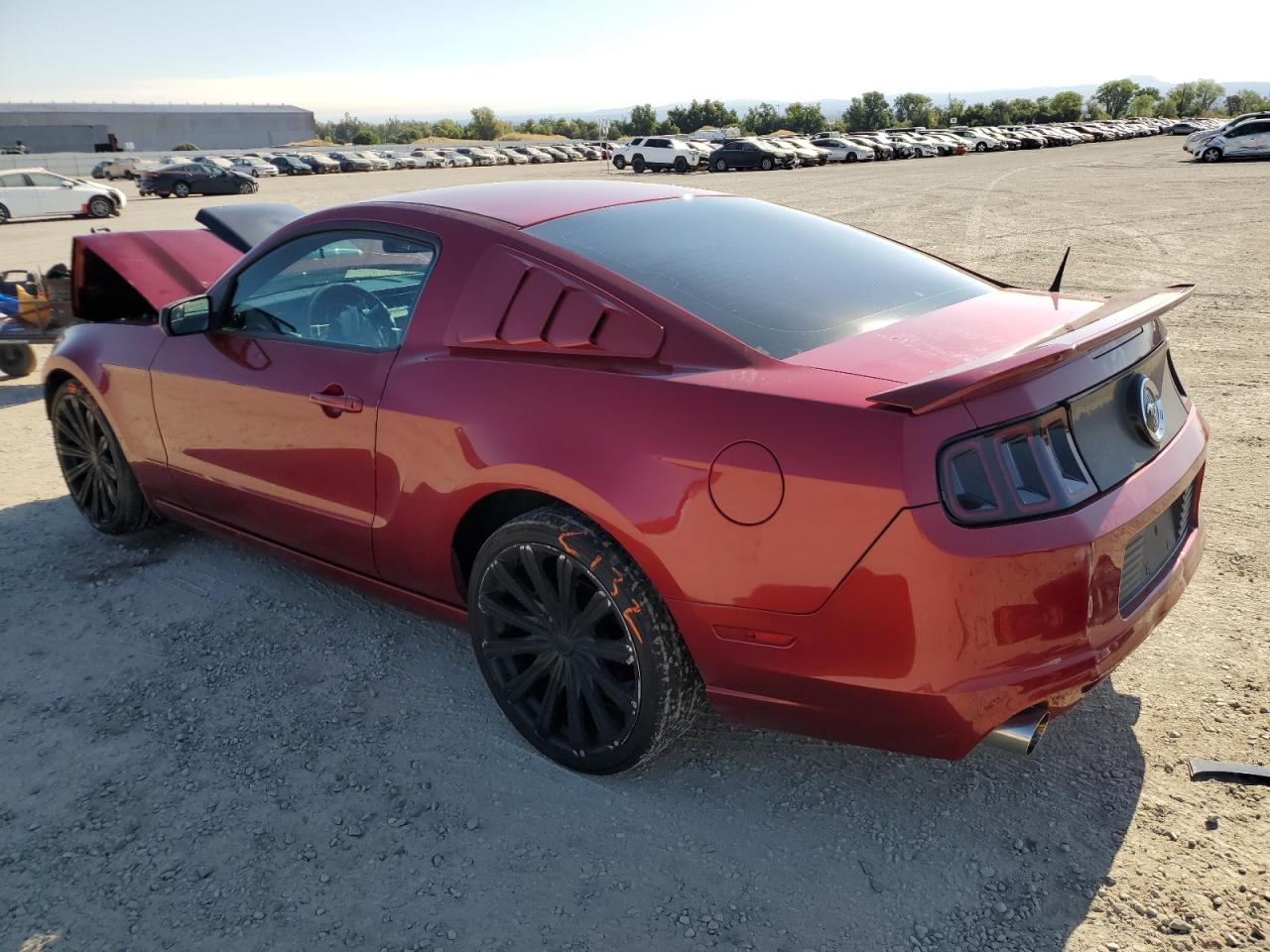 2014 Ford Mustang VIN: 1ZVBP8AM9E5250526 Lot: 65471825