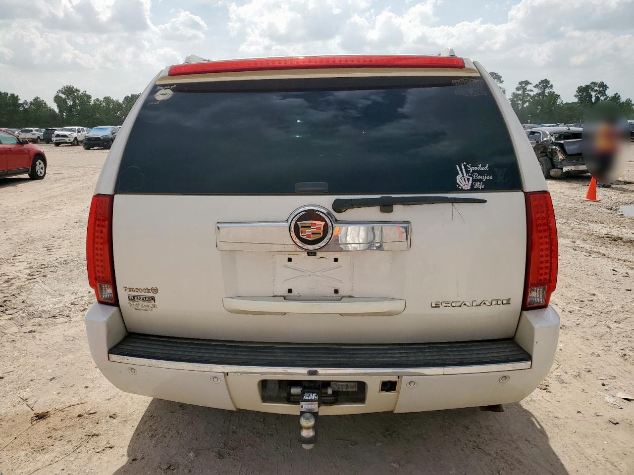 2010 Cadillac Escalade Luxury VIN: 1GYUKBEF5AR206569 Lot: 65287275